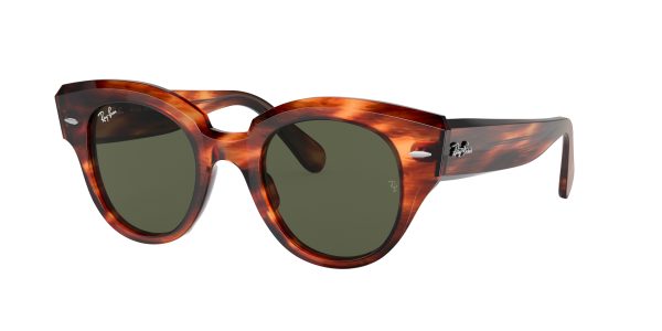 Ray-Ban ROUNDABOUT RB2192 Round Sunglasses For Discount - Image 2