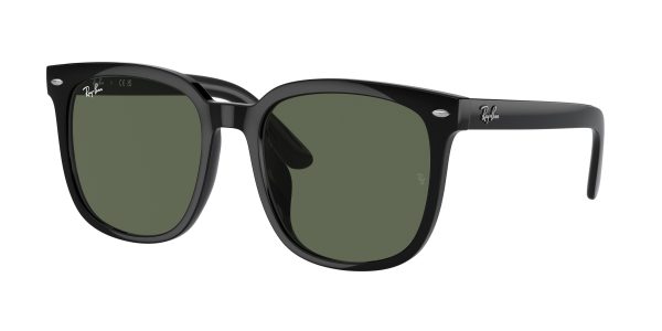 Ray-Ban RB4401D Square Sunglasses For Cheap - Image 2